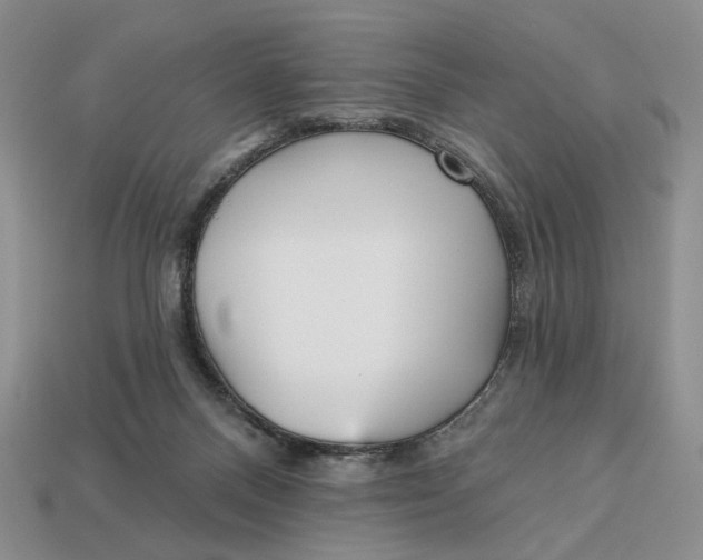 X0000112760120200909101538