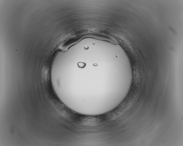 X0000112760123200909101538