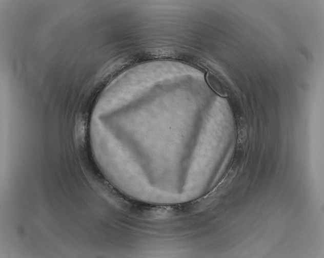 X0000112760124200909101538