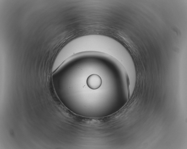 X0000112760125200909101538