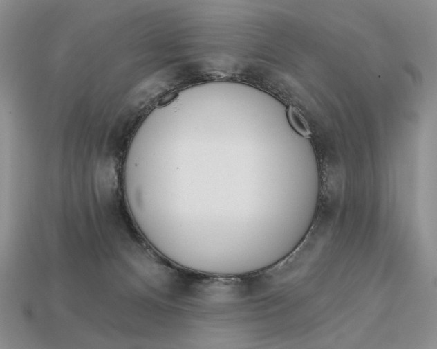X0000112760128200909101538