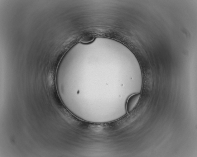 X0000112760131200909101538