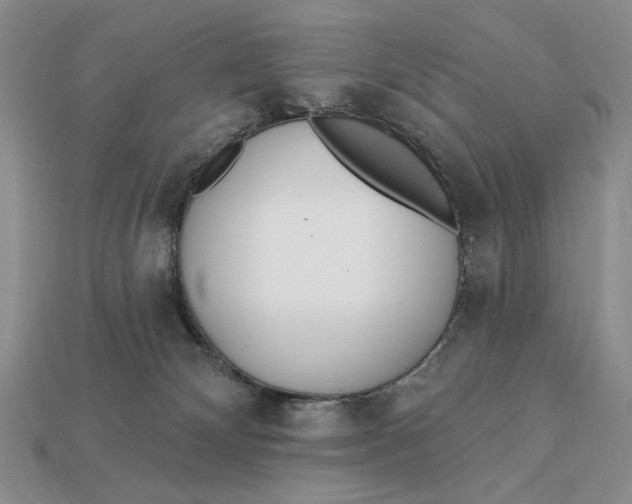 X0000112760132200909101538