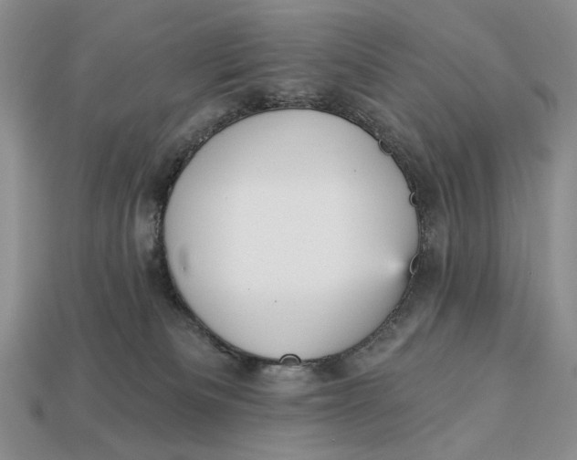 X0000112760133200909101538
