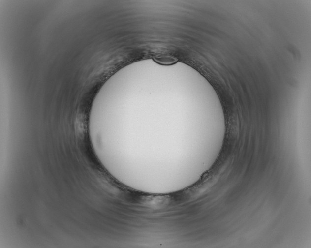 X0000112760135200909101538