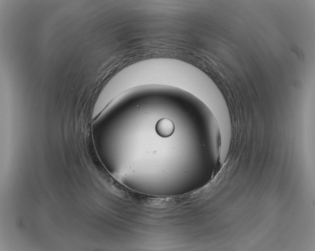 X0000112760136200909101538