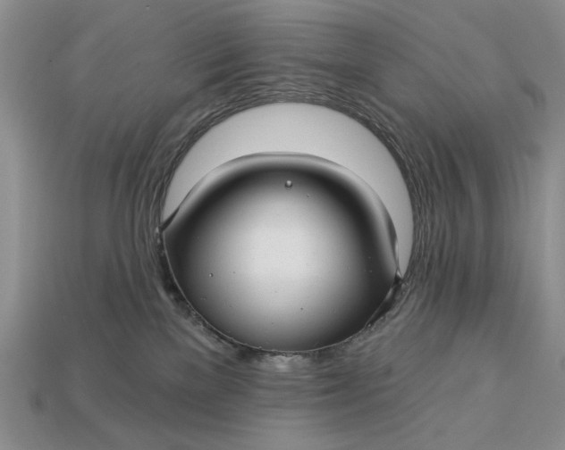 X0000112760137200909101538