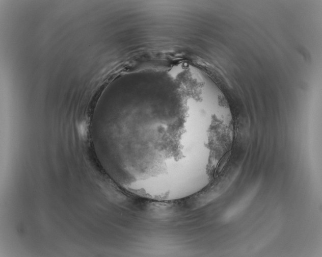 X0000112760139200909101538