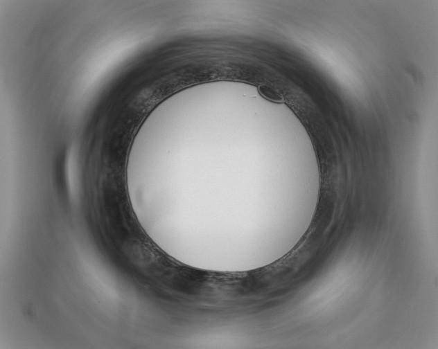 X0000112760140200909101538