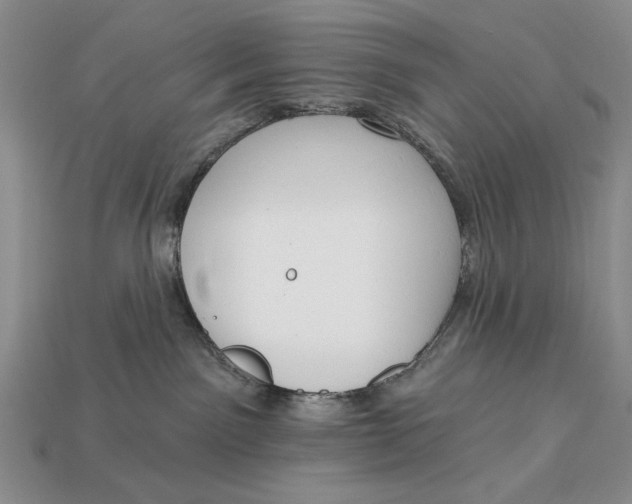 X0000112760141200909101538