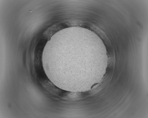 X0000112760142200909101538