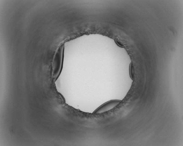 X0000112760144200909101538
