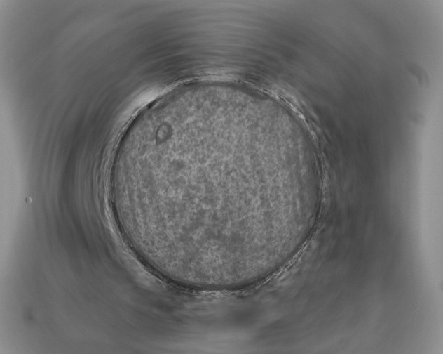 X0000112760145200909101537