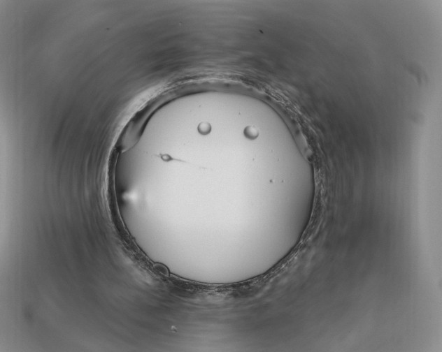 X0000112760148200909101537