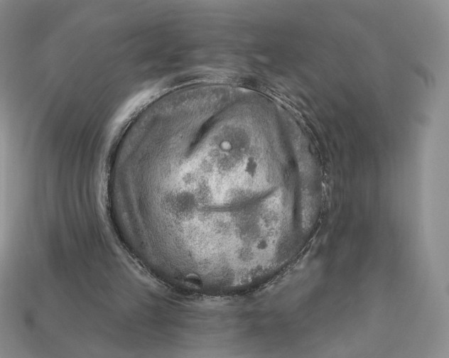 X0000112760149200909101537