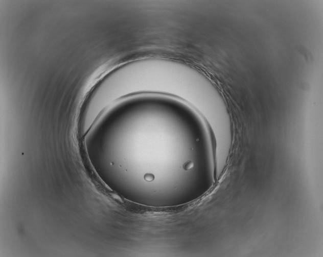 X0000112760150200909101537