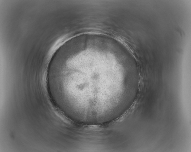 X0000112760151200909101537