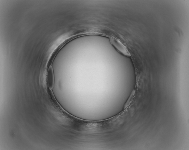 X0000112760152200909101537