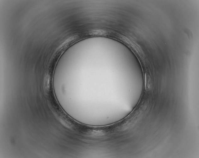 X0000112760157200909101537