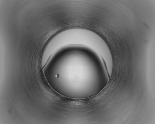 X0000112760164200909101537