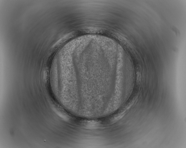 X0000112760165200909101537