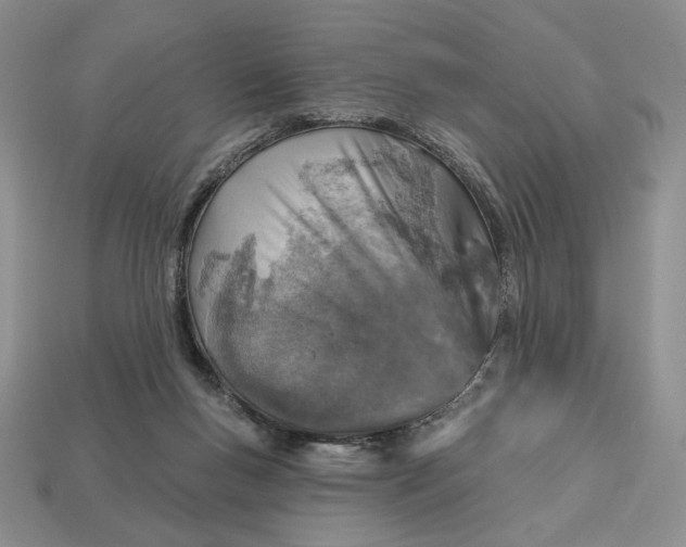 X0000112760167200909101537