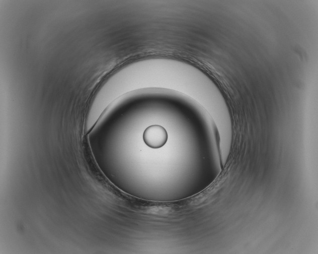 X0000112760168200909101537