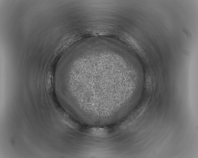 X0000112760169200909101537