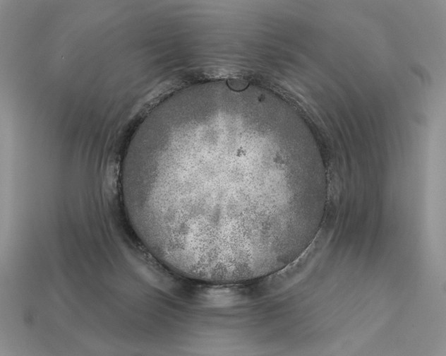 X0000112760171200909101537