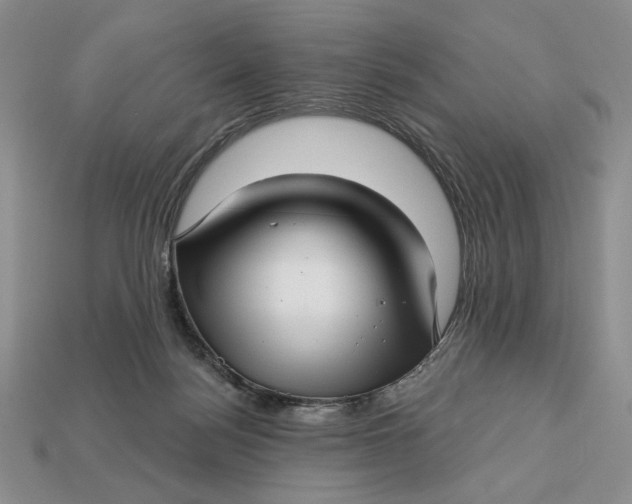 X0000112760172200909101537