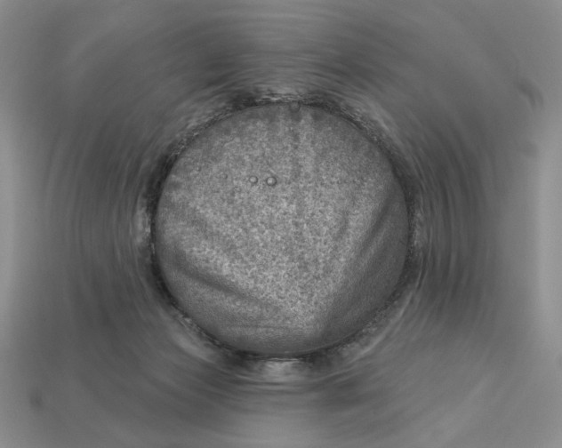 X0000112760173200909101537
