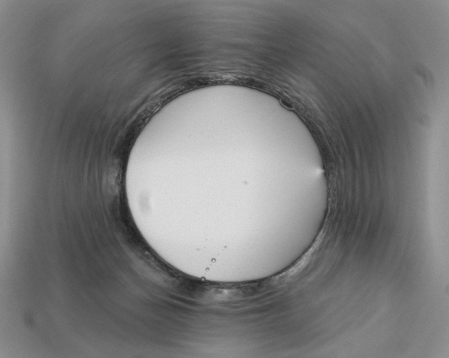 X0000112760174200909101537