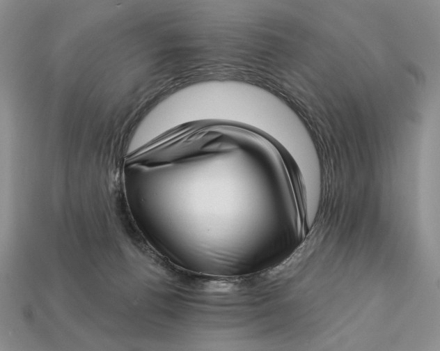 X0000112760176200909101537