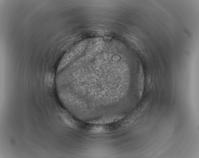 X0000112760177200909101537
