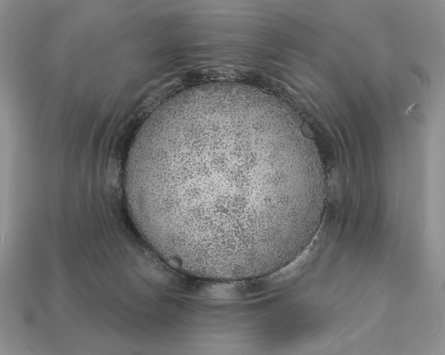 X0000112760178200909101538