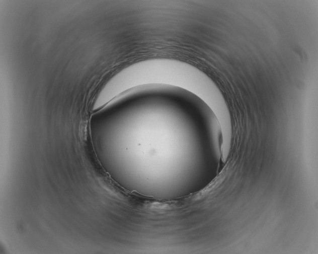 X0000112760180200909101538