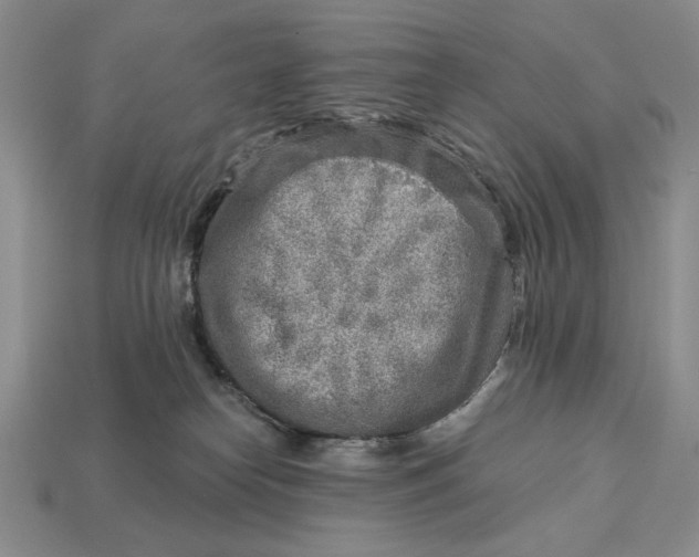 X0000112760182200909101538
