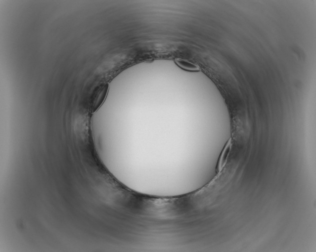 X0000112760184200909101538