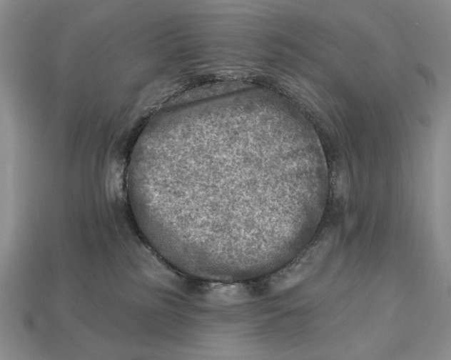 X0000112760185200909101538