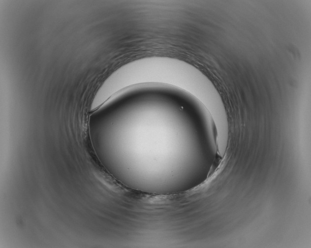 X0000112760186200909101538