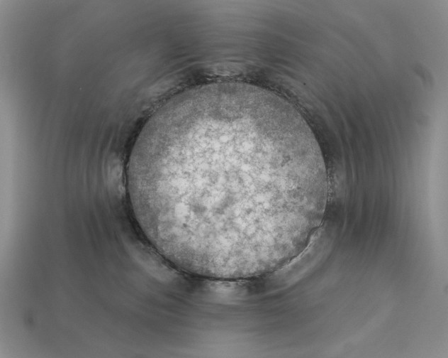 X0000112760187200909101538