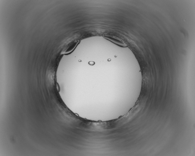 X0000112760188200909101538
