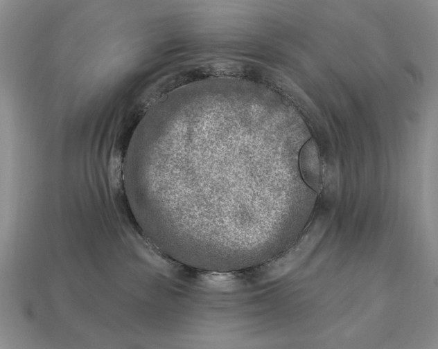 X0000112760189200909101538
