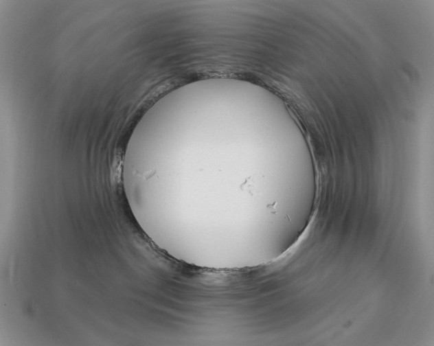 X0000112760190200909101538