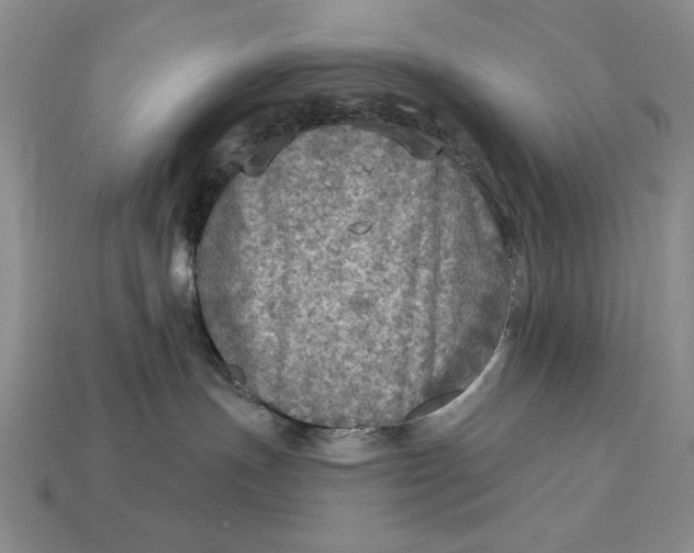 X0000112760191200909101538
