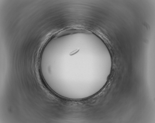 X0000112760193200909101537