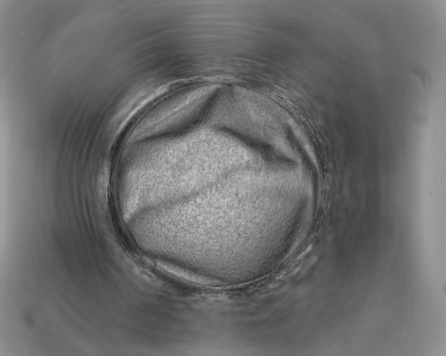 X0000112760194200909101537