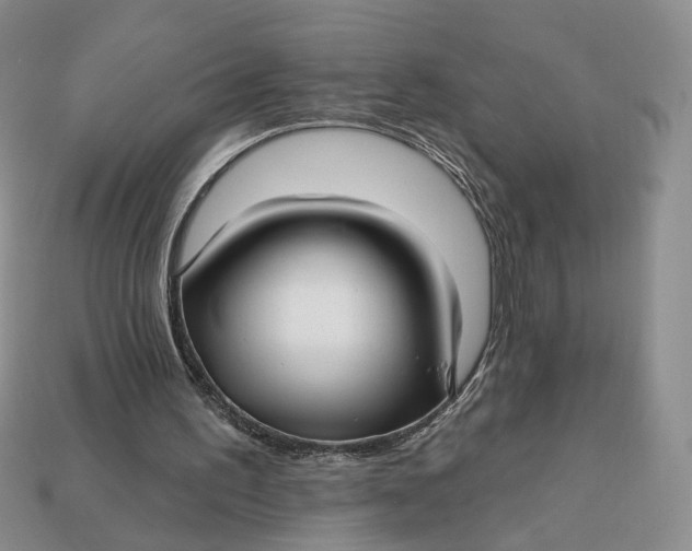X0000112760195200909101537