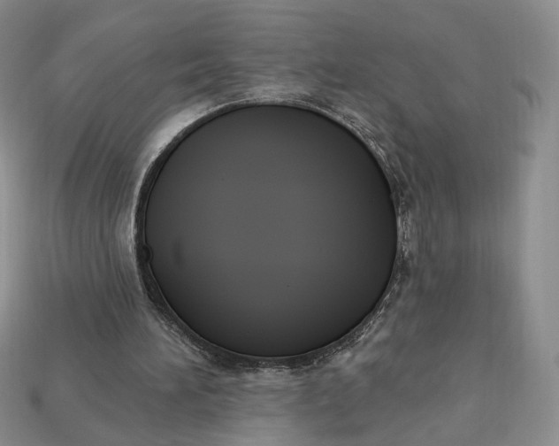 X0000112760196200909101537