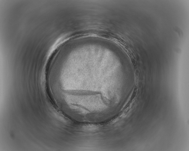 X0000112760198200909101537